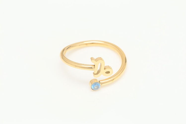 [W] ST036-Gold Plated-(5pcs)-Capricorn-Stainless Steel Zodiac Ring,Birthstone Ring,Constellation Jewelry,Minimalist Stackable Ring,Waterproof,Anti-tanish, [PRODUCT_SEARCH_KEYWORD], JEWELFINGER-INBEAD, [CURRENT_CATE_NAME]