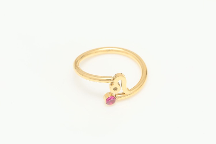 [W] ST036-Gold Plated-(5pcs)-Leo-Stainless Steel Zodiac Ring,Birthstone Ring,Constellation Jewelry,Minimalist Stackable Ring,Waterproof,Anti-tanish, [PRODUCT_SEARCH_KEYWORD], JEWELFINGER-INBEAD, [CURRENT_CATE_NAME]