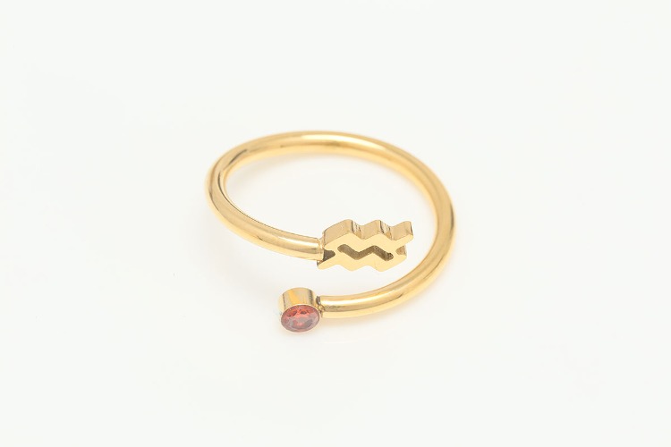 [W] ST036-Gold Plated-(5pcs)-Aquarius-Stainless Steel Zodiac Ring,Birthstone Ring,Constellation Jewelry,Minimalist Stackable Ring,Waterproof,Anti-tanish, [PRODUCT_SEARCH_KEYWORD], JEWELFINGER-INBEAD, [CURRENT_CATE_NAME]